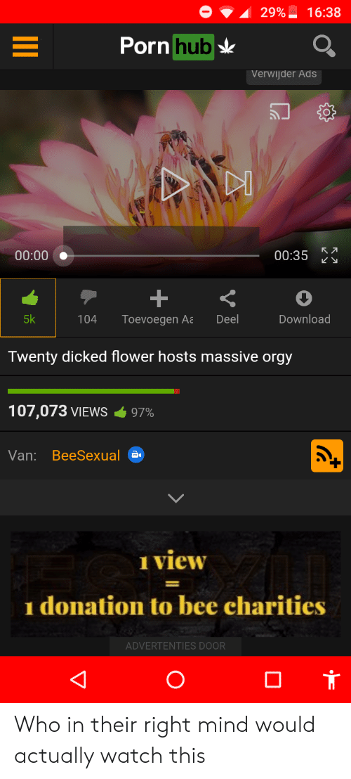 Clownfish recomended hosts orgy dicked massive flower twenty