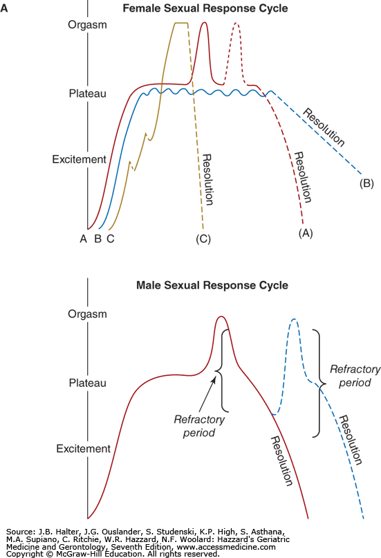 Blue E. reccomend response Chart orgasm of male