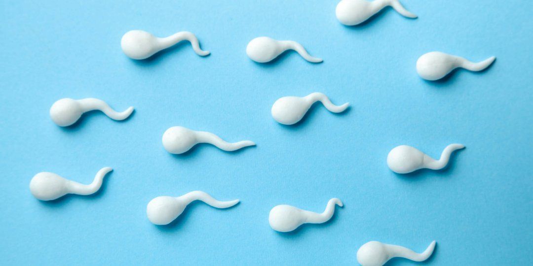 best of Sperm found ejaculate No in