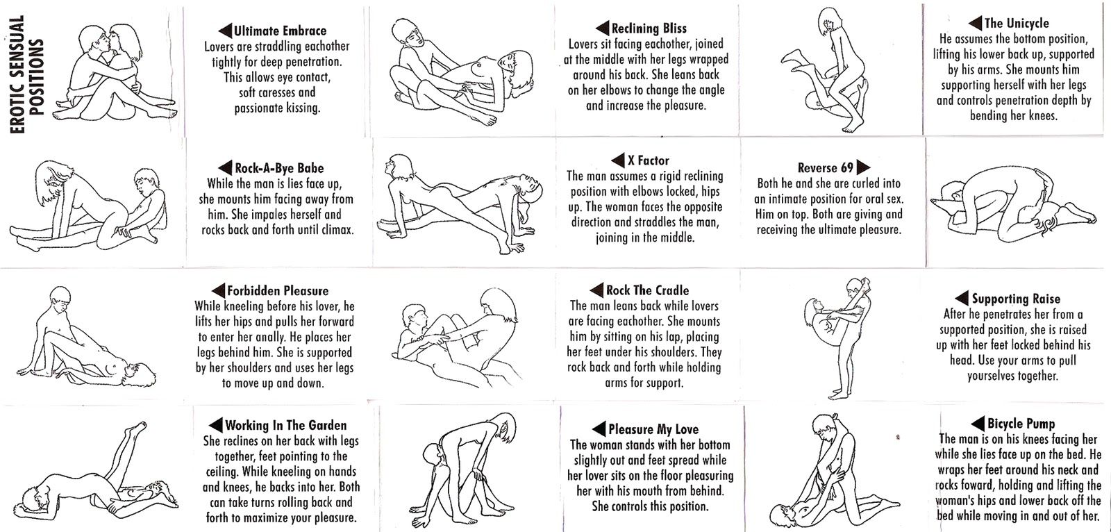 Flamingo reccomend positions Different sex types of