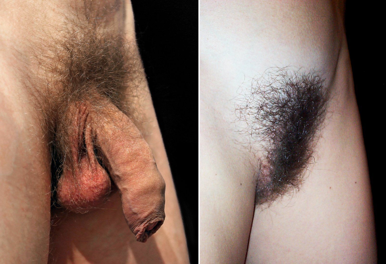 Picture pubes shaved