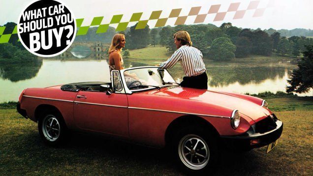 Gully reccomend Mg midget orchid paint