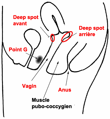 best of Deep orgasm Achieve vaginal