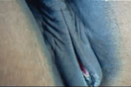 Mare pussy lick gif