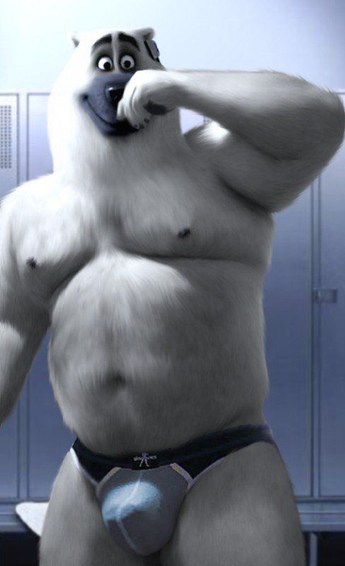 Polar bear men gay