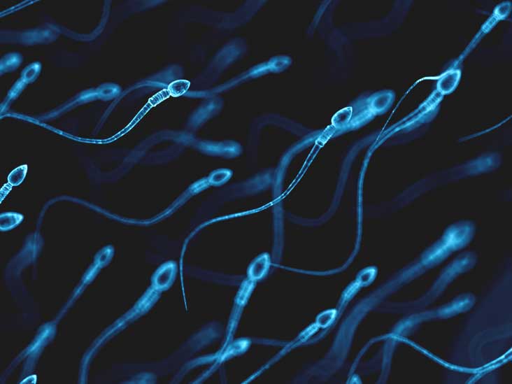 Things that can help sperm quality